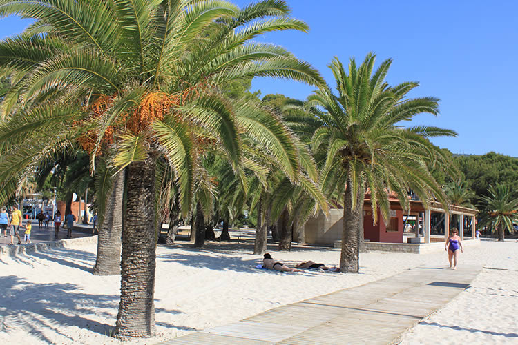 hotel Delfin Playa