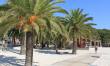 hotel Delfin Playa